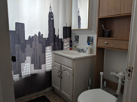 a bathroom with a sink and a wall mural of a city skyline