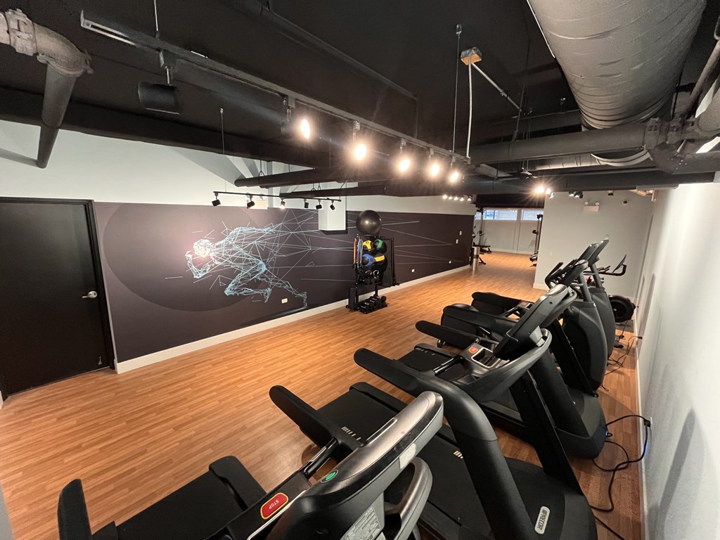 A gym with treadmills and a screen on the wall.