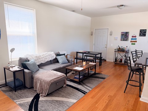 A living room with a grey couch and a grey rug.