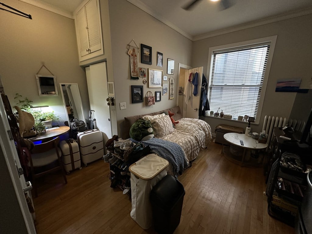 A messy room with a bed, chair, and a potted plant.