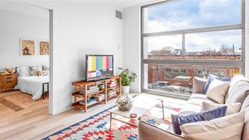 Cozy living room at L Logan Square Apartments, complete with a couch and TV.