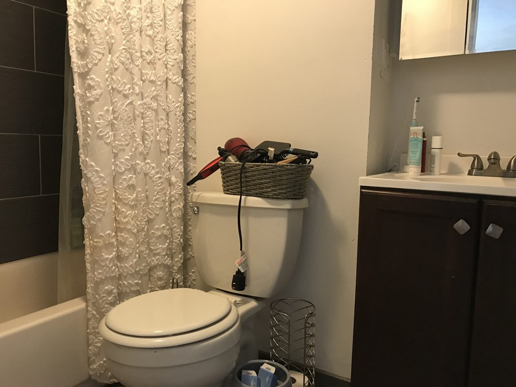 a bathroom with a toilet and a shower curtain and a sink