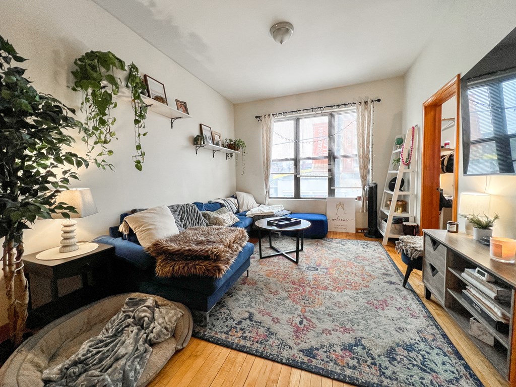 a living room with a blue couch and a rug