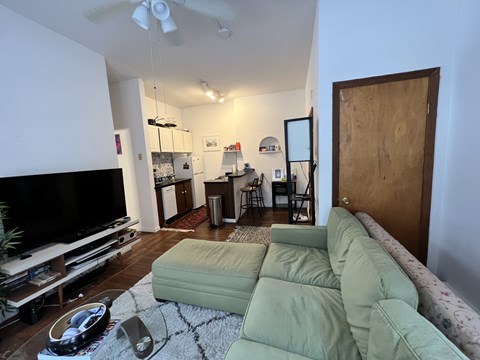 A living room with a green couch and a television.