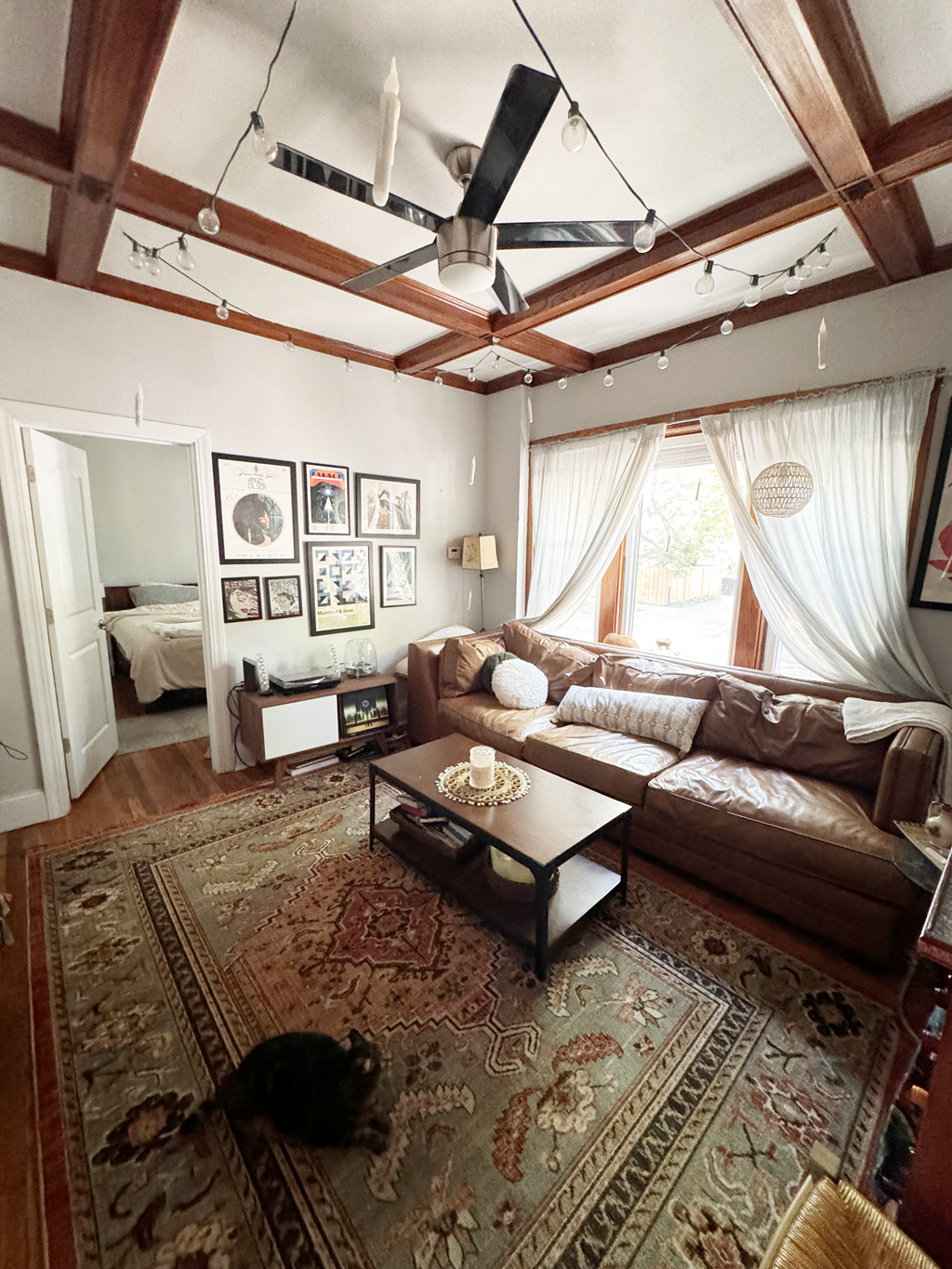 a living room with a couch and a cat in it