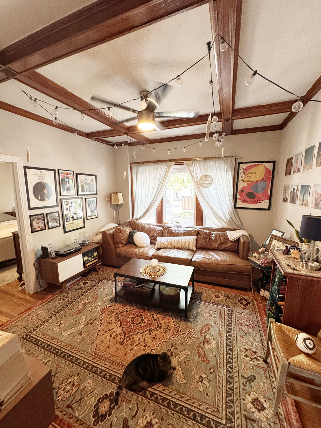 a living room with a cat laying on the floor