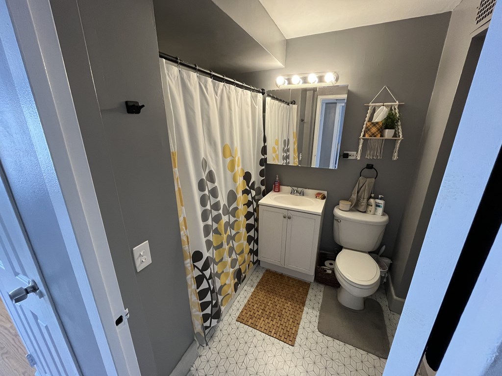 A bathroom with a toilet, sink, and shower curtain.