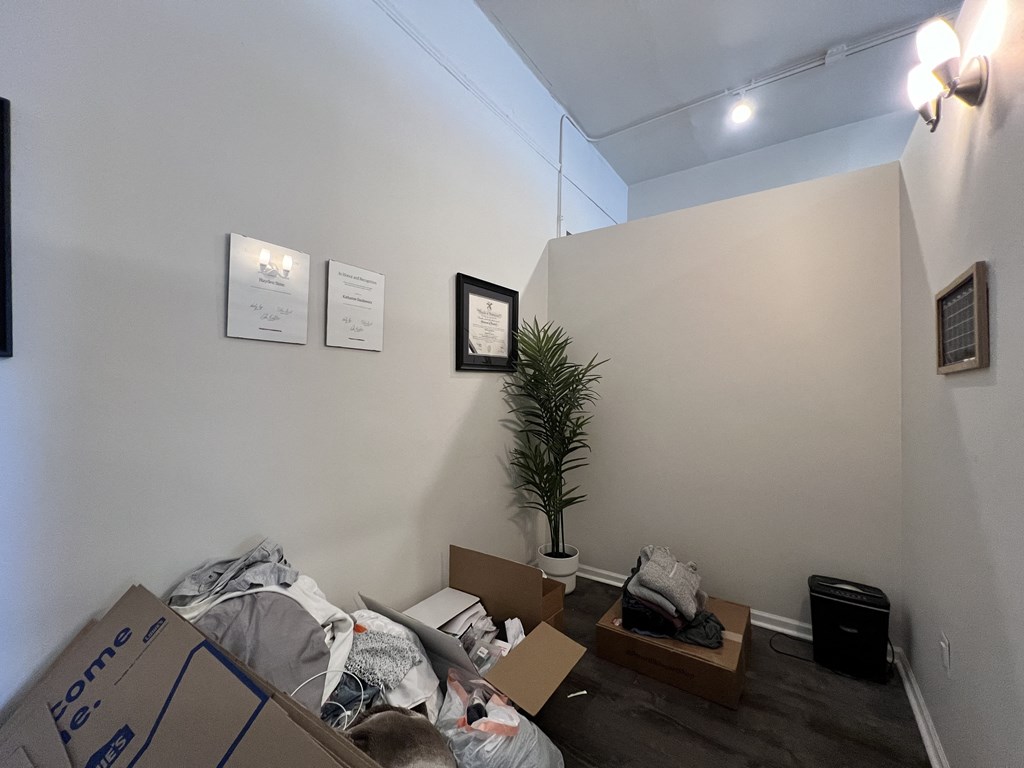 a room with a pile of boxes and a plant in the corner