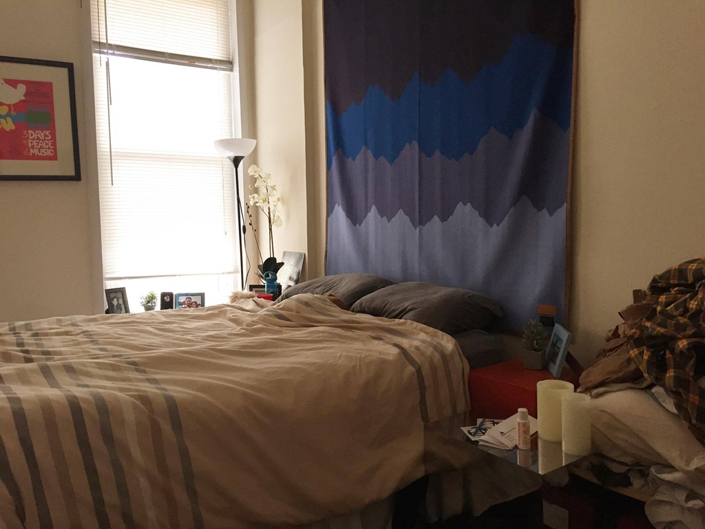 a bedroom with a bed and a curtain on the wall