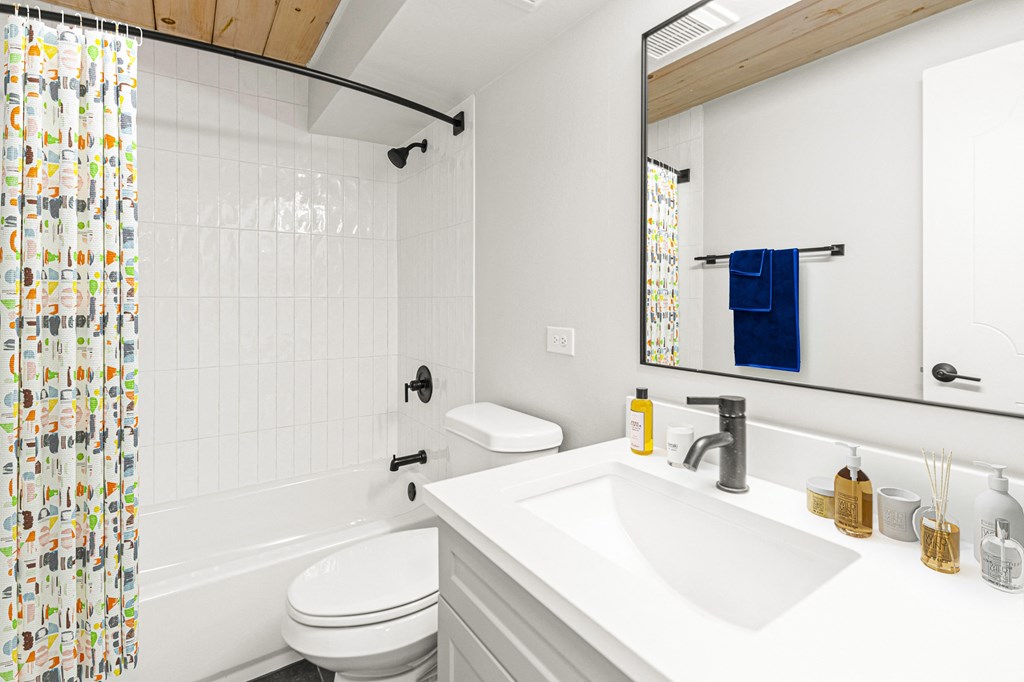 a bathroom with a sink and a toilet and a shower