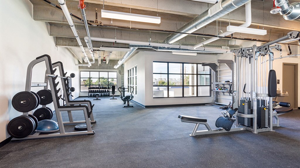 a gym with weights and dumbbells and a large window