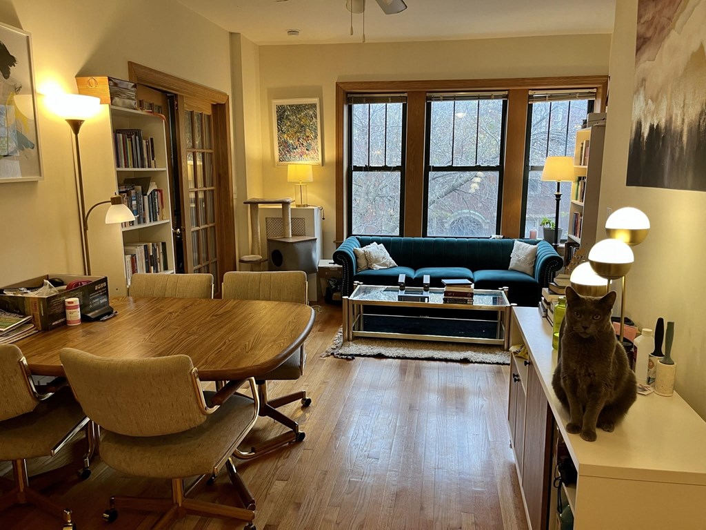 a cat sitting on a desk in a living room