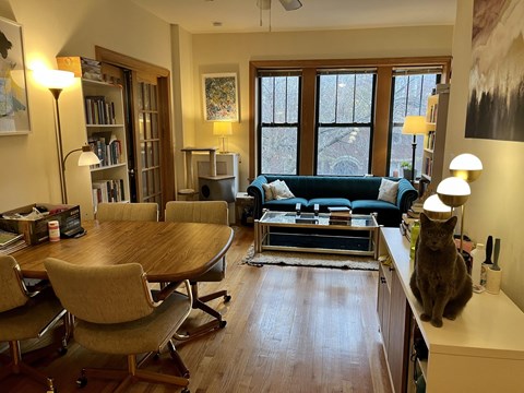 a cat sitting on a desk in a living room