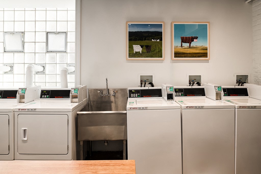 four washers and dryers in a laundry room with pictures on the wall