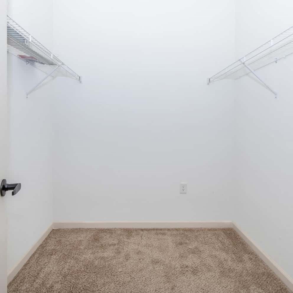 a room with two shelves on the wall and a carpet