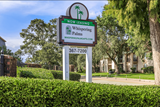 Whispering Palms Apartments