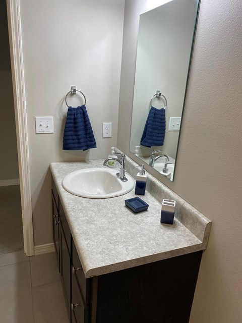 a bathroom with a sink and a mirror