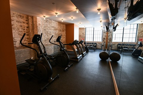 A gym with a row of stationary bikes and a row of treadmills.
