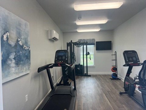 A gym with treadmills and exercise equipment.