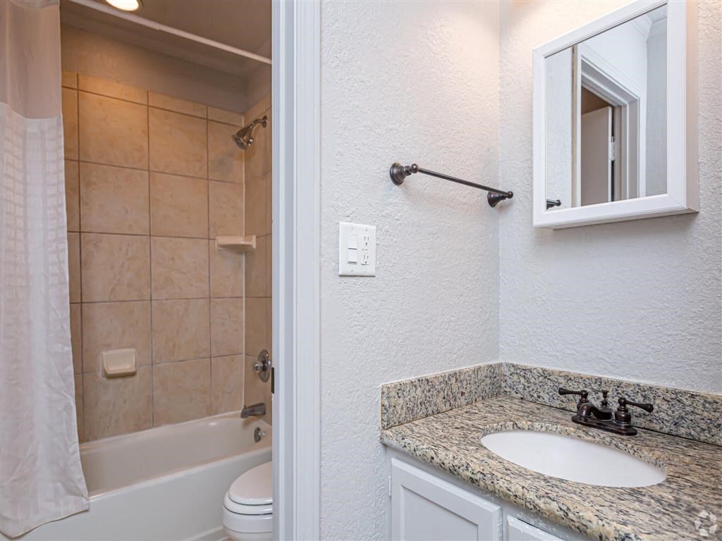 a bathroom with a sink and a toilet and a shower