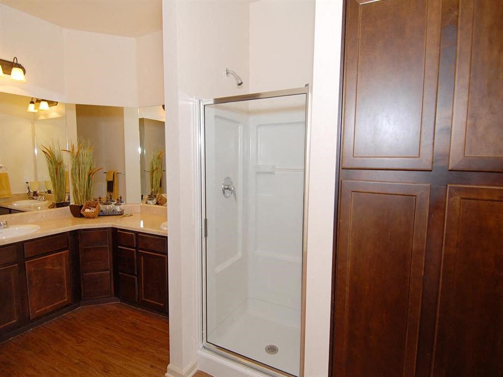 a bathroom with a shower and a sink