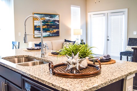 A kitchen with a sink and a painting on the wall.