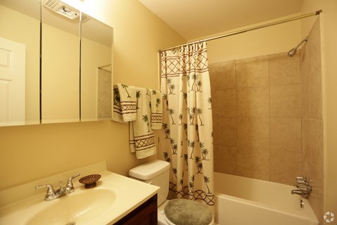 A bathroom with a sink, toilet, and shower.