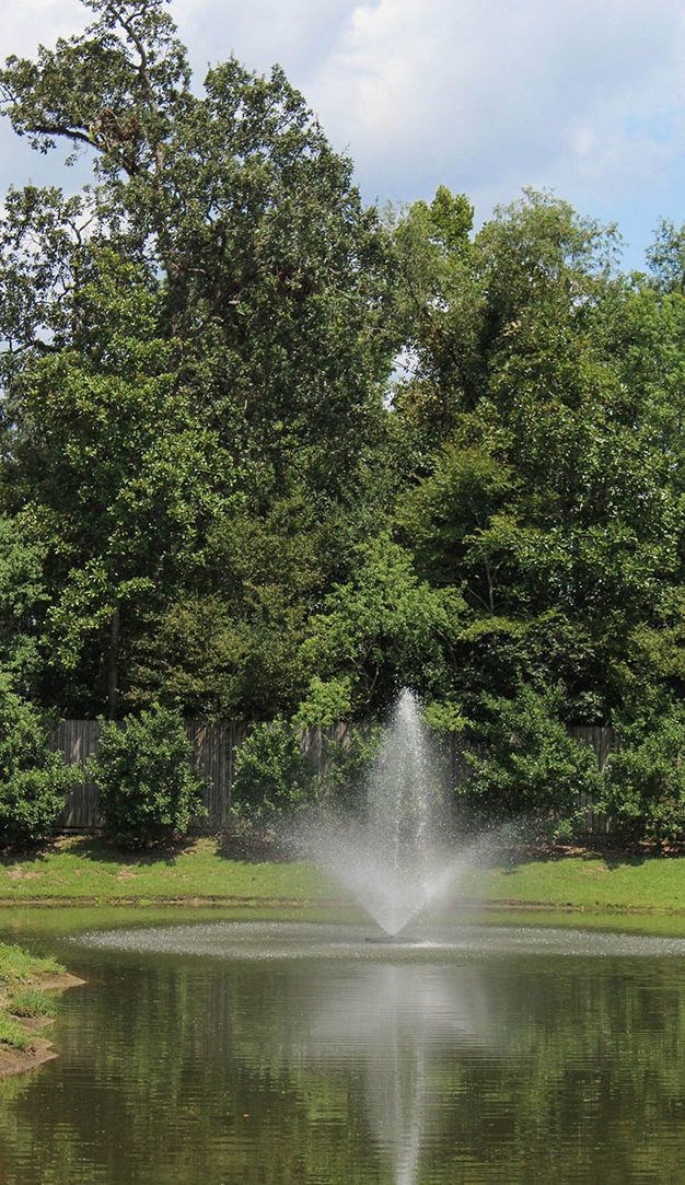a fountain in the middle of a pond