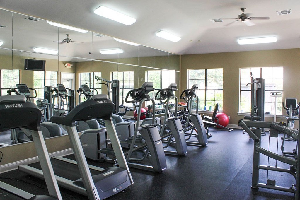 a gym with various cardio equipment and windows