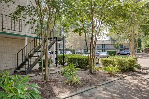A tree-lined courtyard with a building in the background.