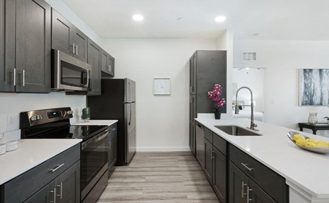 A kitchen with black cabinets and appliances.