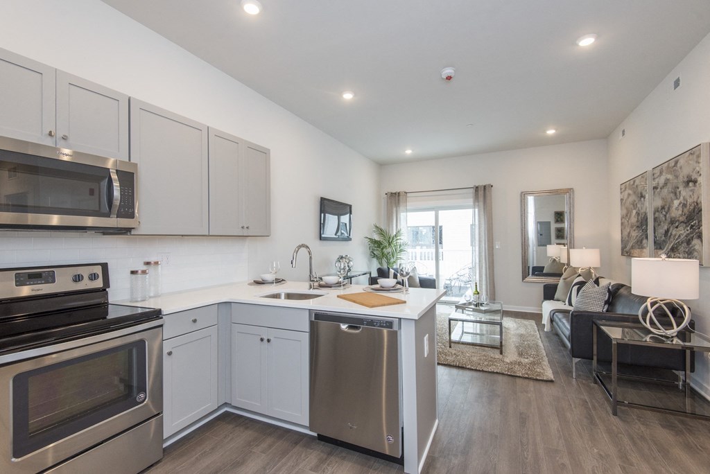 1002 Kitchen-Living Room