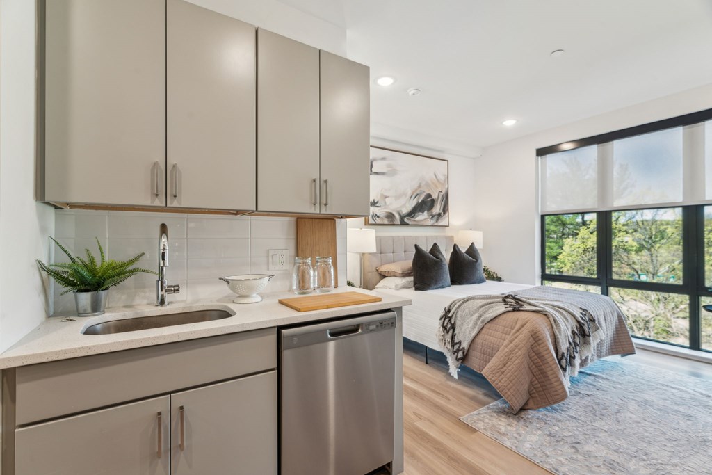 A modern kitchen with a stainless steel dishwasher and a sink with a potted plant on the counter.