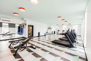 a gym with rows of chairs on a checkered floor