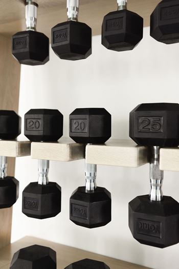 a row of dumbbell weights hanging on a wall