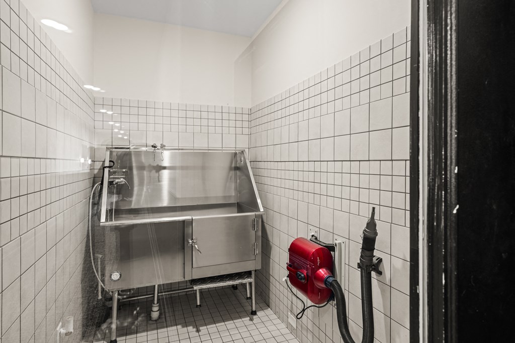 a bathroom with a sink and a red fire hydrant
