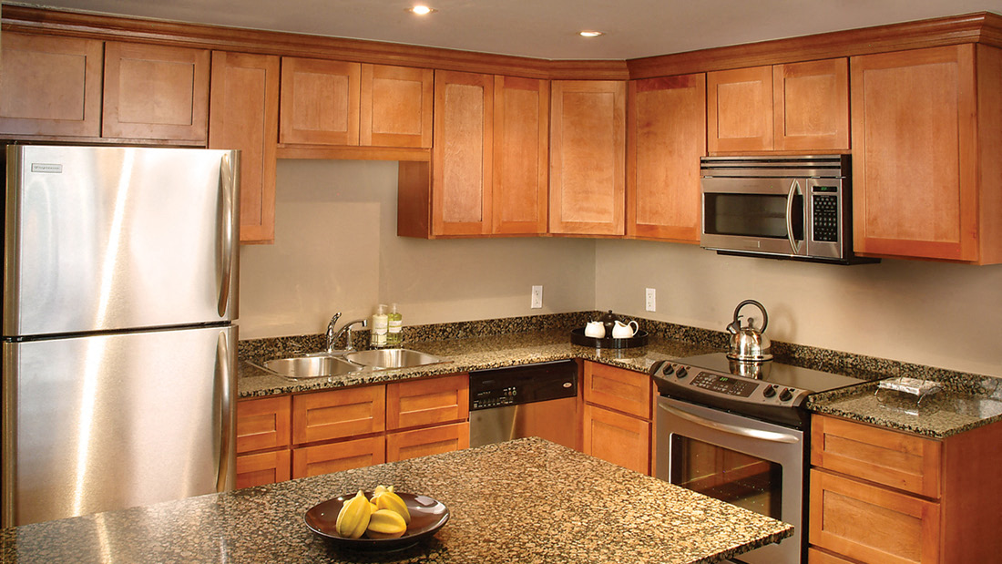 Energy Efficient Appliances & Light Fixtures