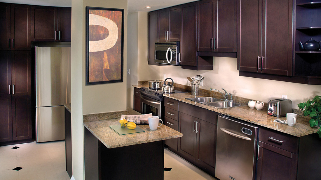 Open Concept Kitchens