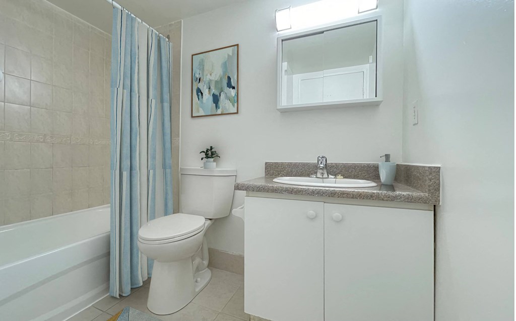 a bathroom with a sink toilet and a shower