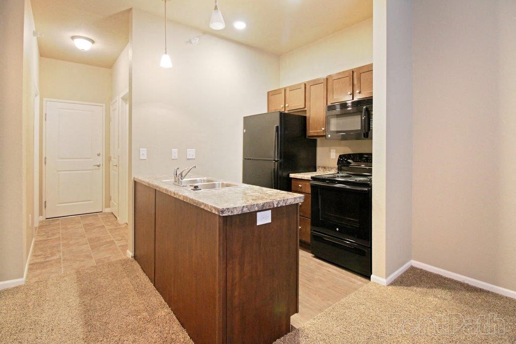 a kitchen with a black refrigerator and a sink