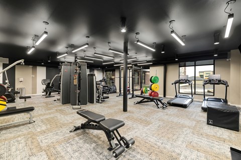 A gym with a variety of equipment including a squat rack, bench, and weights.