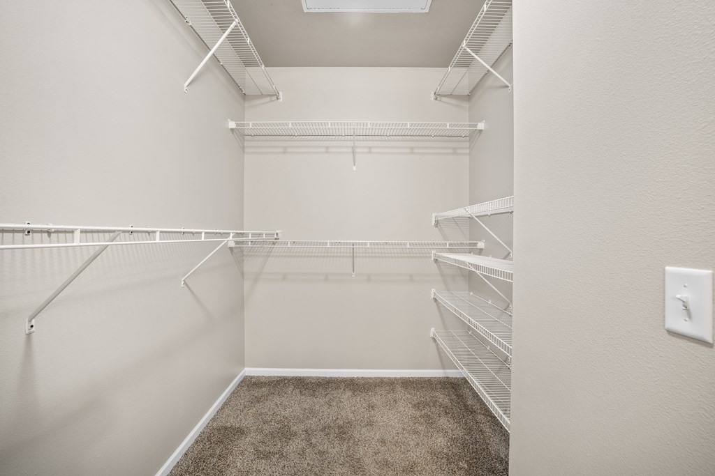 Empty walk-in closet with shelves and carpeted floor.