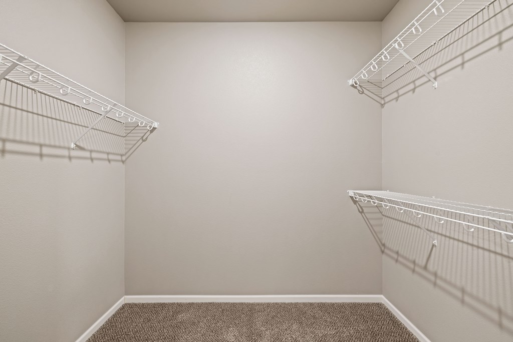 A white empty walk-in closet with carpeted floor.