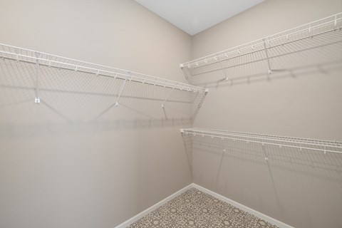 Empty walk in closet with shelves and carpeted floor.