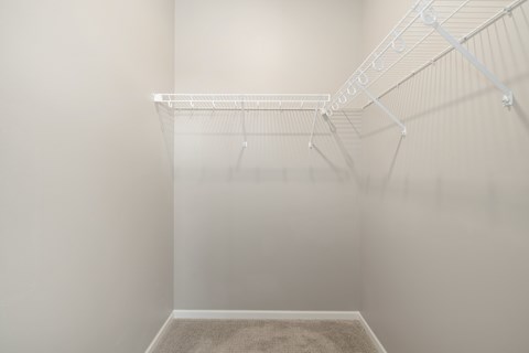 Empty white closet with a carpeted floor.