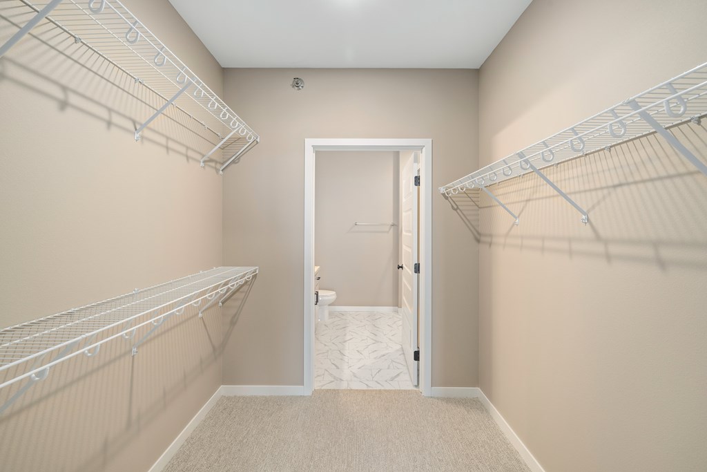 A walk-in closet with white shelving and a carpeted floor.