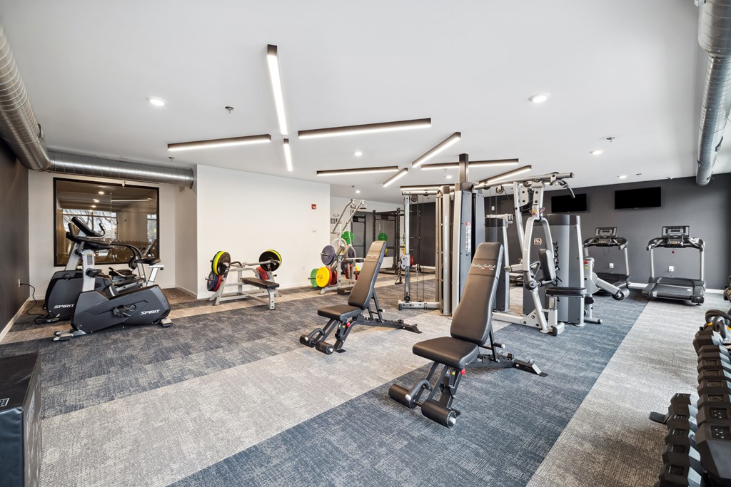 A gym with a variety of equipment including weights and cardio machines.
