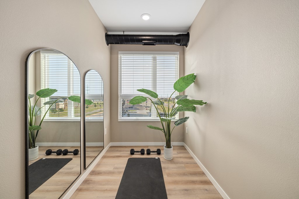 A room with a mirror, a yoga mat, and a plant.