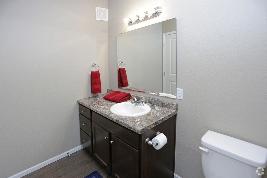 a bathroom with a sink and a mirror and a toilet