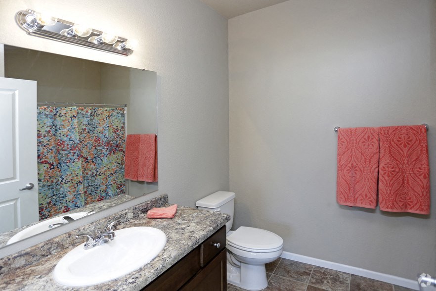 a bathroom with a sink and a toilet and a mirror